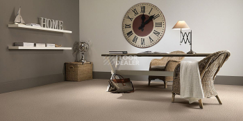 AW Stainguard Harvest 91 фото 2 | FLOORDEALER